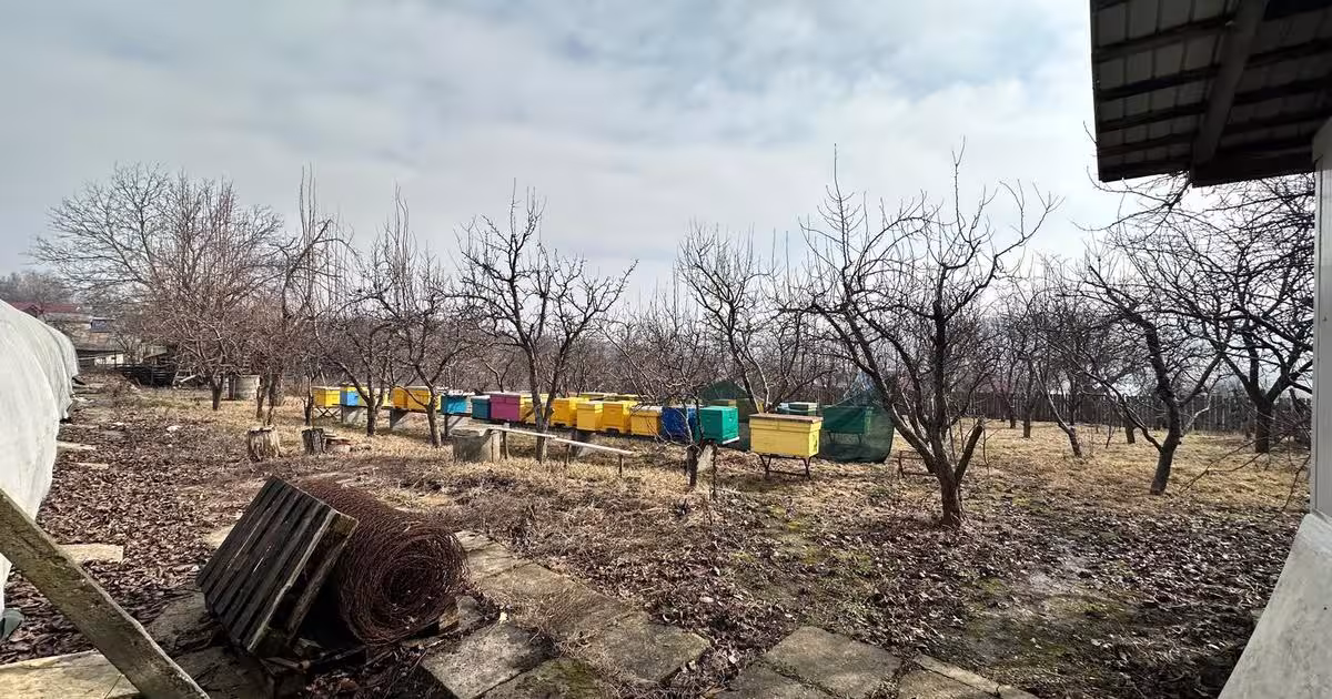 Spațiu industrial 400 mp în Dumești