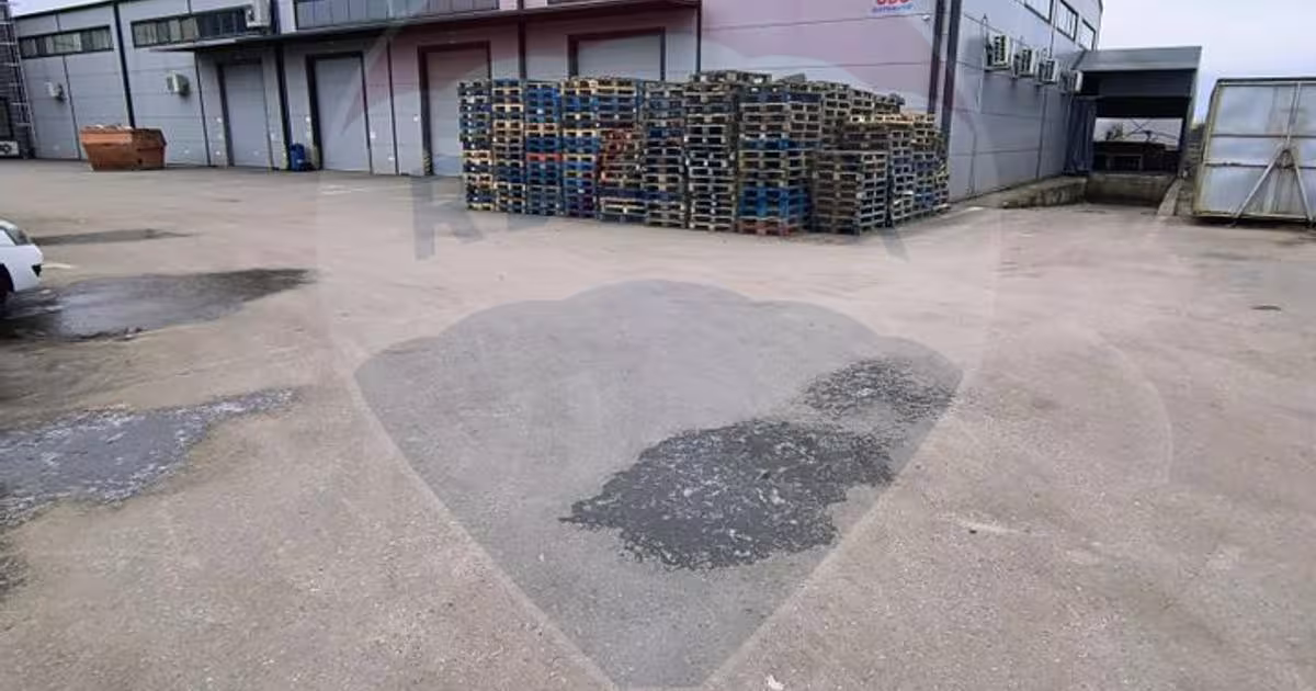 Spațiu industrial în zona Central, Otopeni