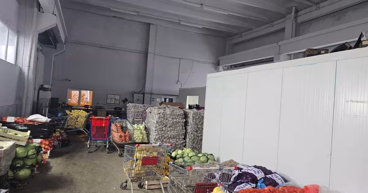Spațiu industrial în zona Sud-Est, Popești-Leordeni