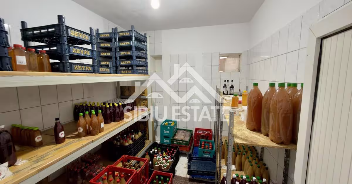 Spațiu industrial în Șelimbăr