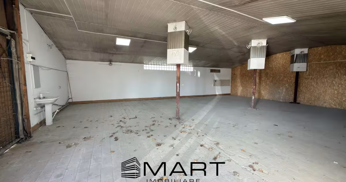 Spațiu industrial 130 mp în zona Periferie, Sibiu