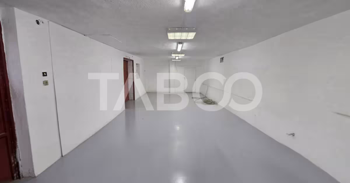 Spațiu industrial în zona Turnișor, Sibiu
