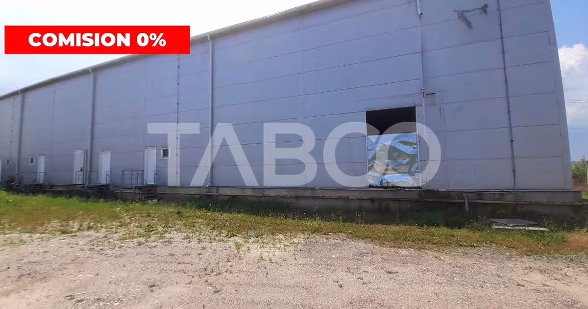 Spațiu industrial în zona Veterani, Sibiu
