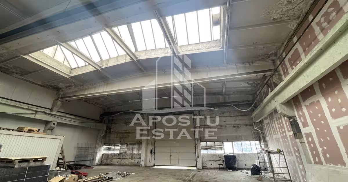 Spațiu industrial în zona Buziașului, Timișoara