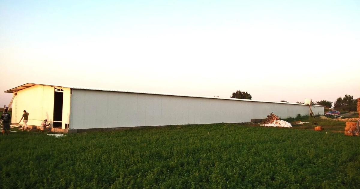 Ferma de gaini ouatoare in sistem free-range | 45.000 mp teren