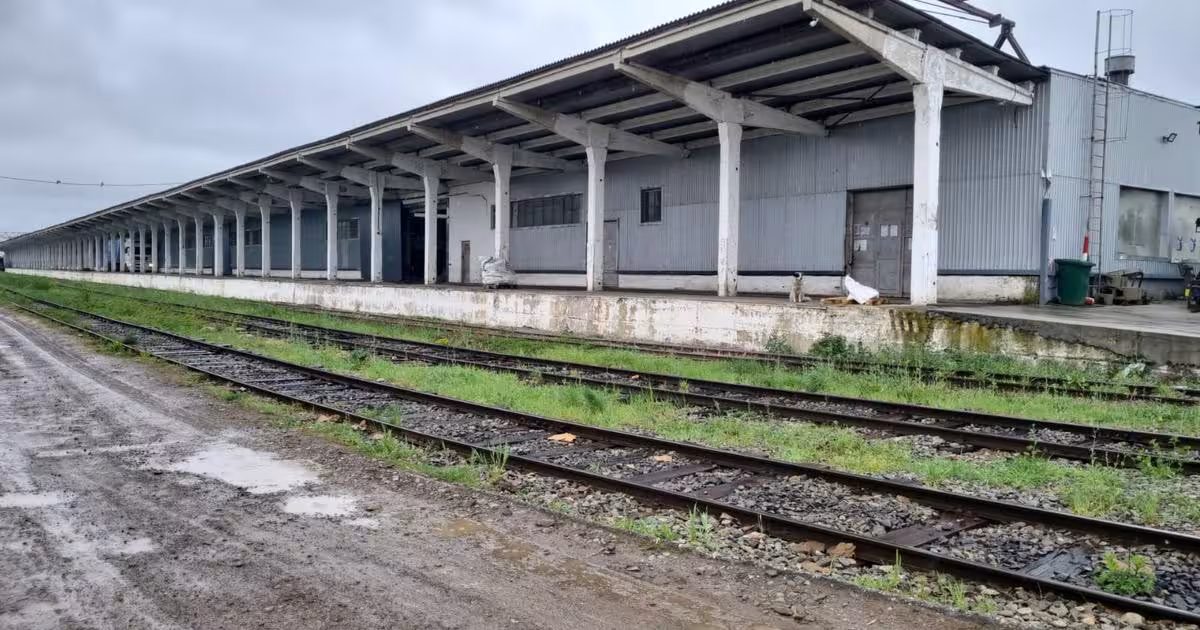 Spațiu industrial 7521 mp în Dornești