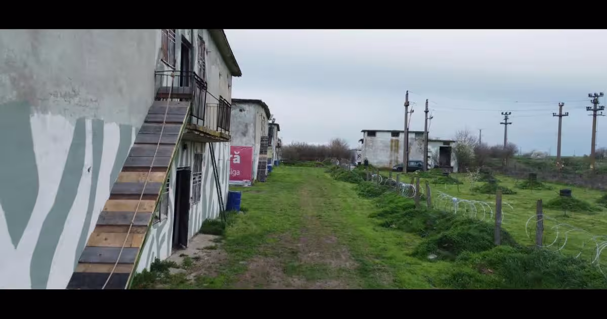 Spațiu industrial 40000 mp în Orțișoara
