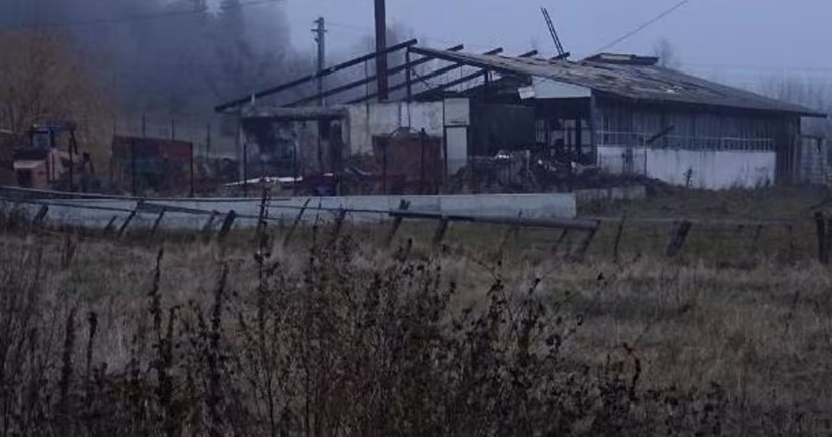Spațiu industrial 577 mp în Straja