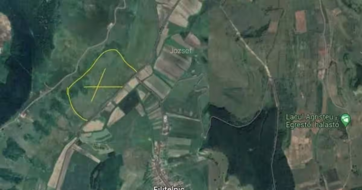 Teren agricol extravilan de 60000 mp, în Bălăușeri