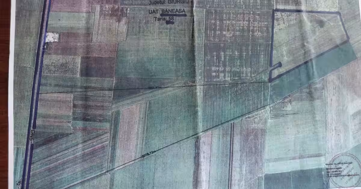 Teren agricol extravilan de 280288 mp, în Băneasa