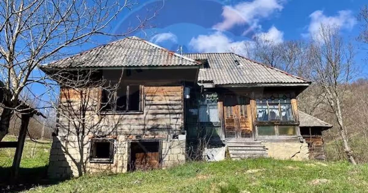 Teren agricol extravilan de 7495 mp, în Bârsana