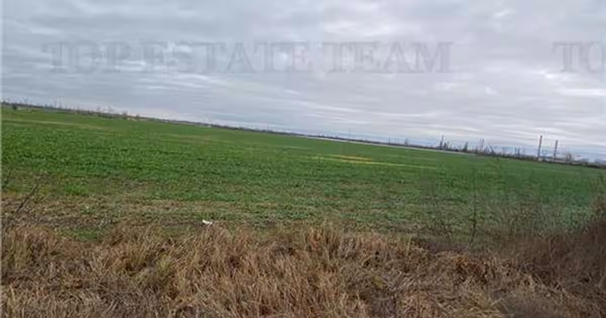 Teren agricol extravilan de 60600 mp, în Berceni