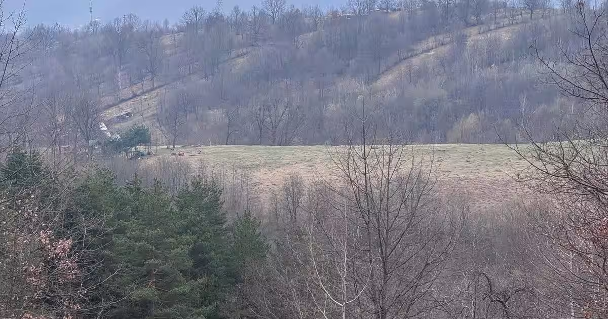 Teren agricol intravilan de 6000 mp, în Bistrița