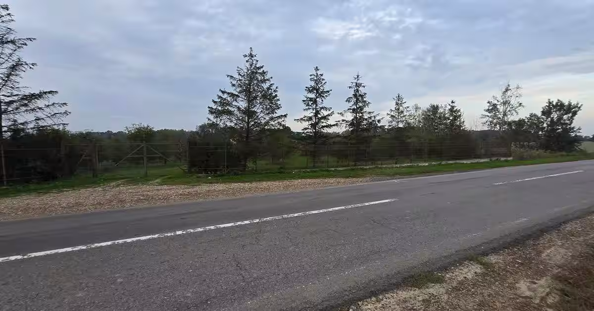 Teren agricol extravilan de 18000 mp, în Boțârlău