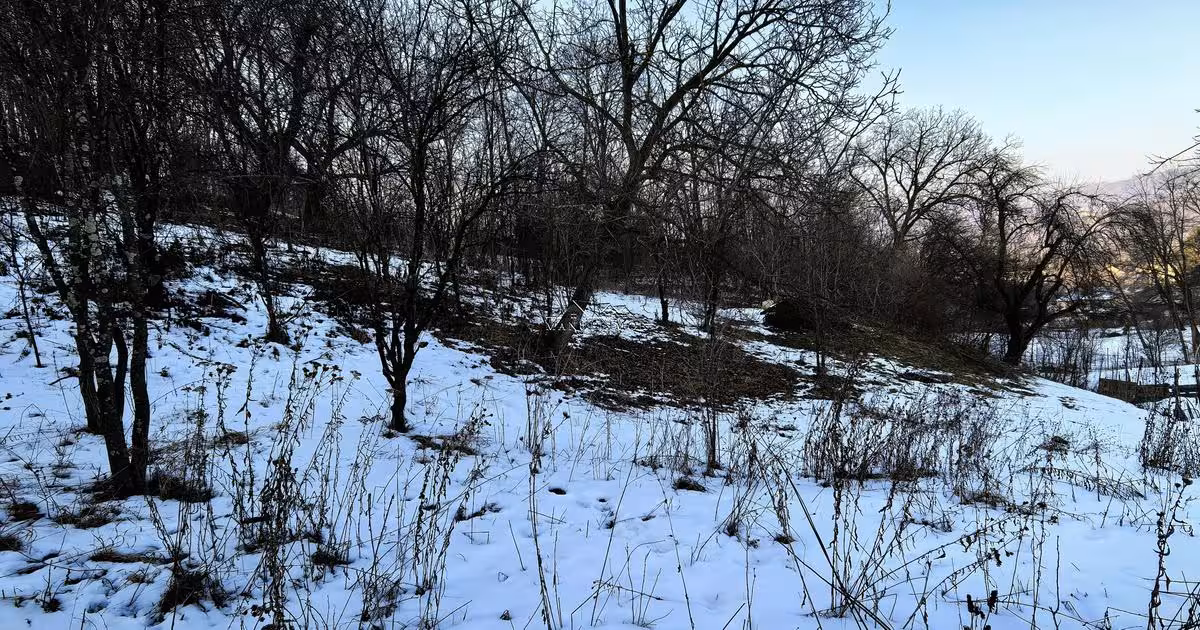 Teren agricol intravilan de 995 mp, în zona Est, Breaza