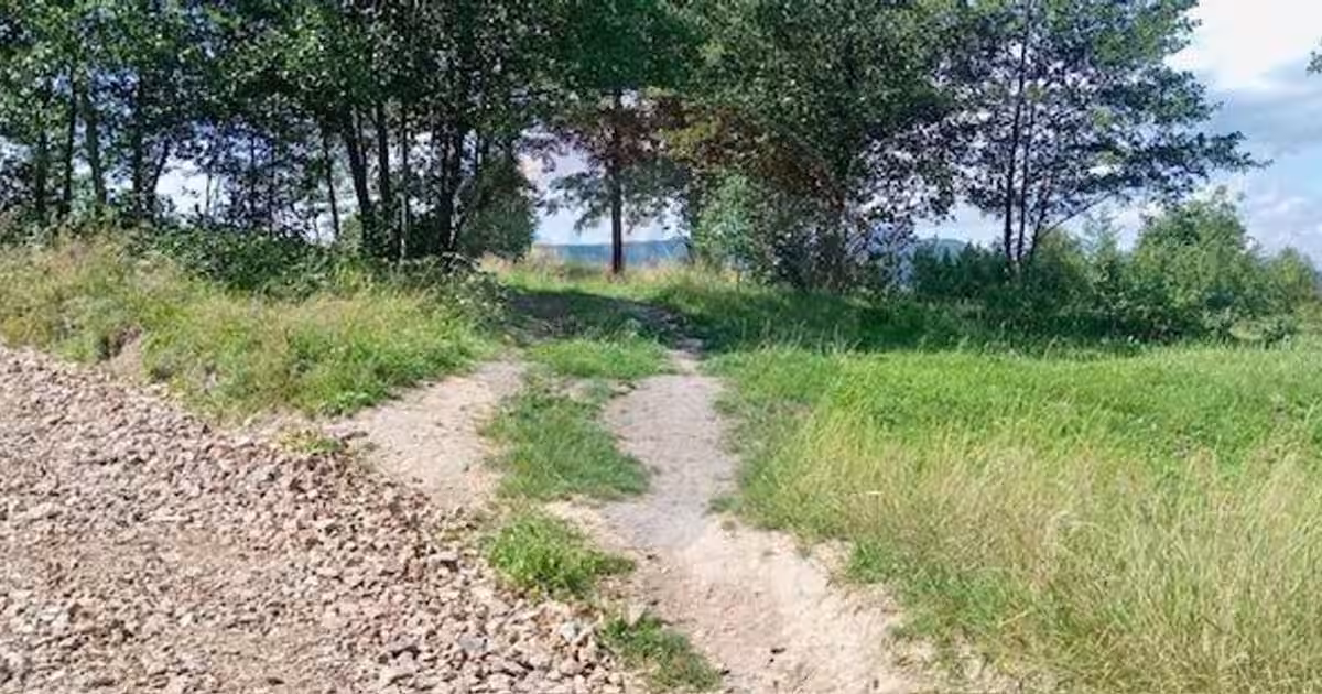 Teren agricol extravilan de 1915 mp, în Breb