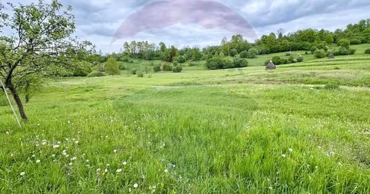 Teren agricol extravilan de 20876 mp, în Breb