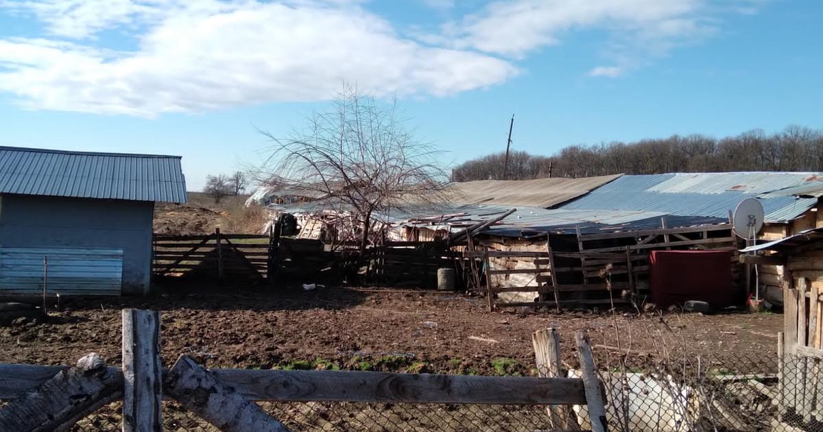 OPORTUNITATE! FERMA FUNCTIONALA, CASA RENOVATA SI TEREN 5HA