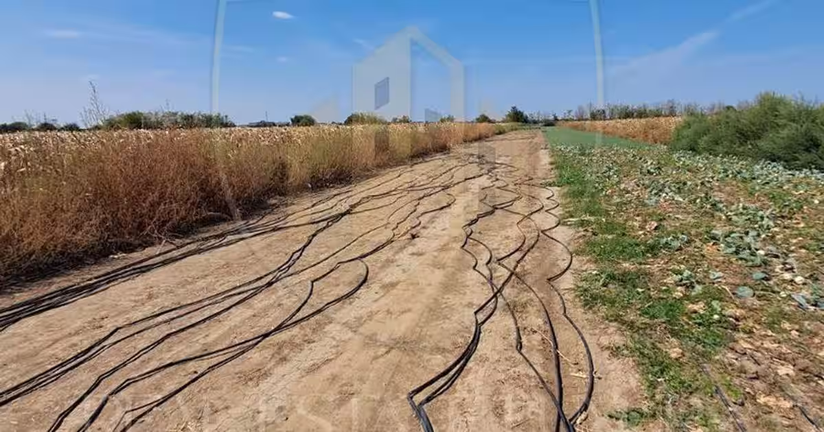 0% COMISION TEREN DE VÂNZARE DE 2470 MP CU POTENȚIAL DE INVESTIȚIE