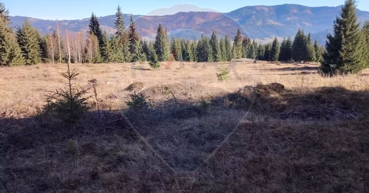 Teren agricol extravilan de 16289 mp, în Coverca