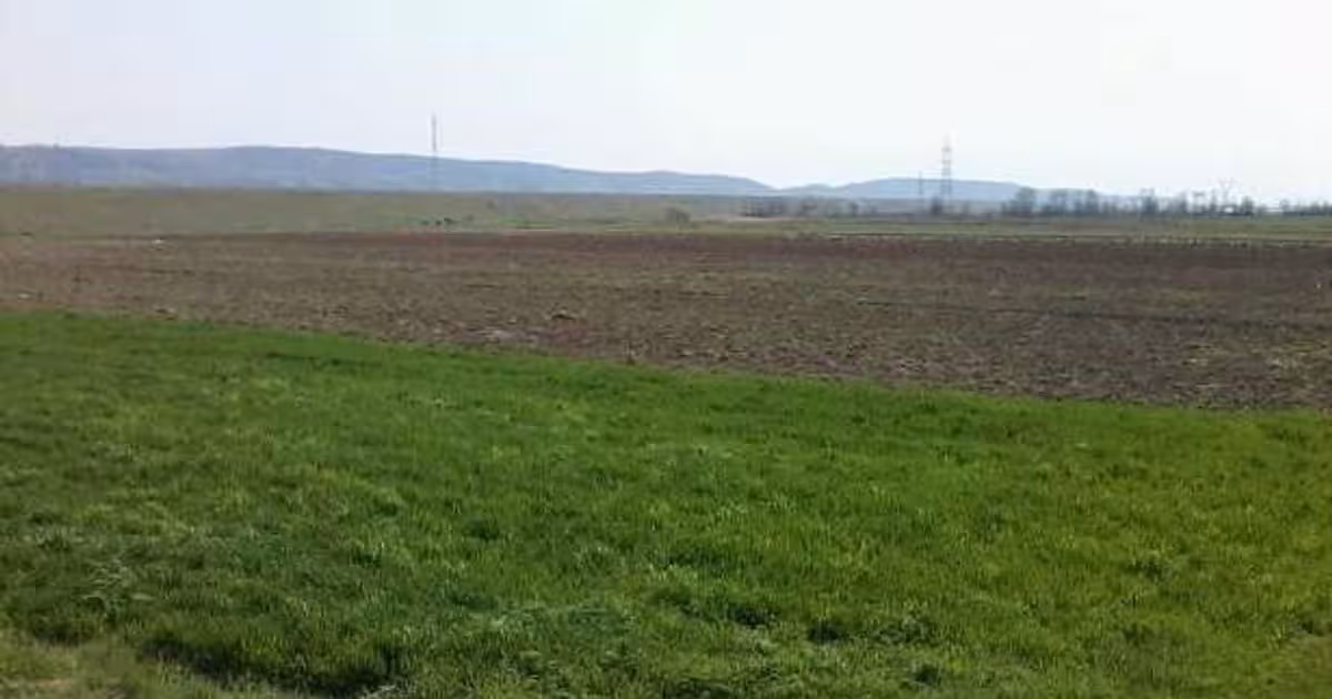Teren agricol extravilan de 5800 mp, în Creaca