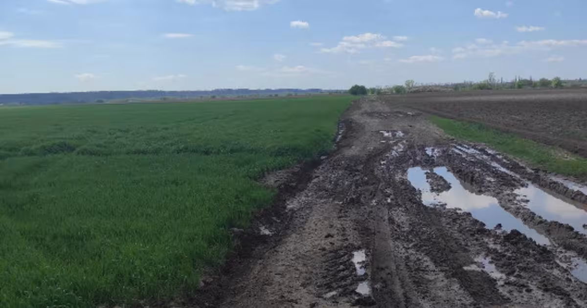 Teren agricol extravilan de 5286 mp, în Crevedia