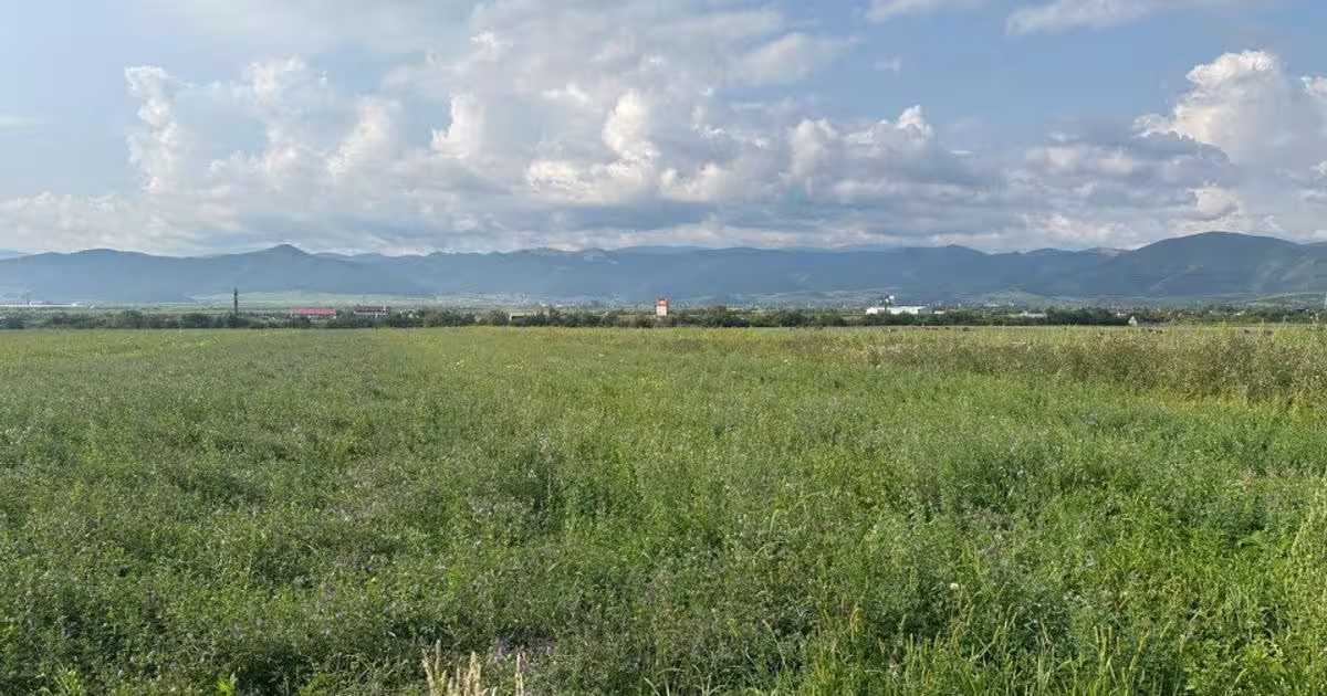 Teren agricol extravilan de 4800 mp, în Cristian