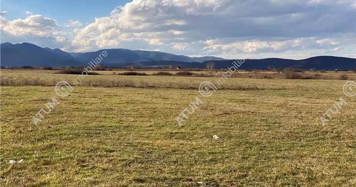 Teren agricol extravilan de 500 mp, în Cristian