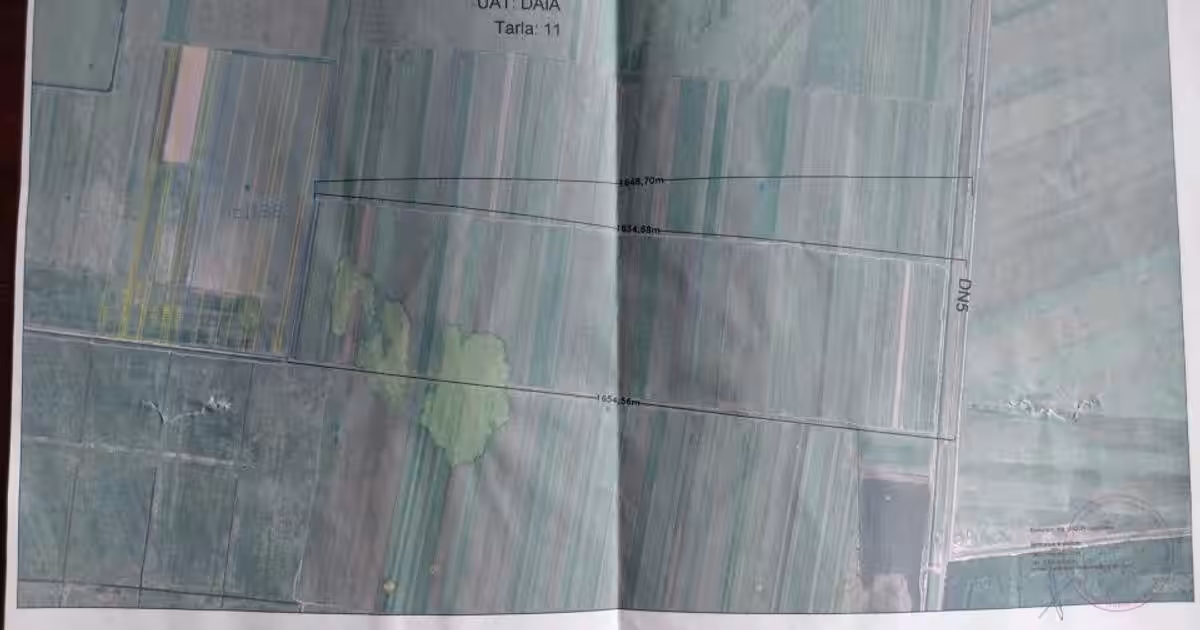 Teren agricol extravilan de 354200 mp, în Daia