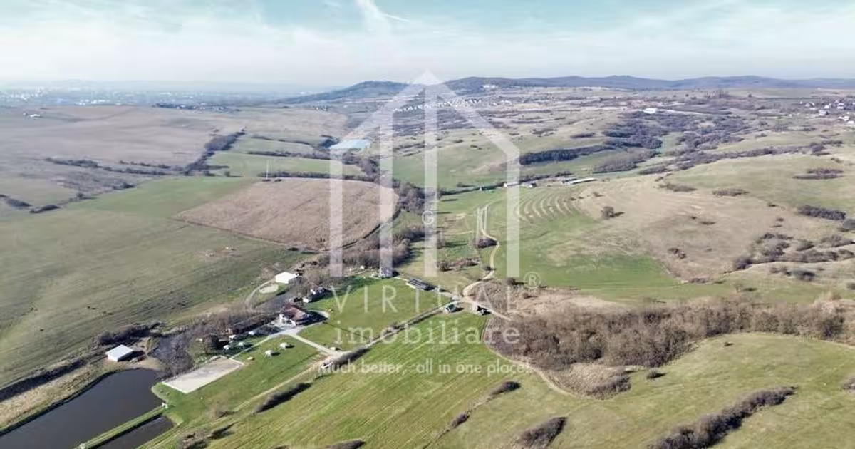 Teren agricol extravilan de 67500 mp, în Daia