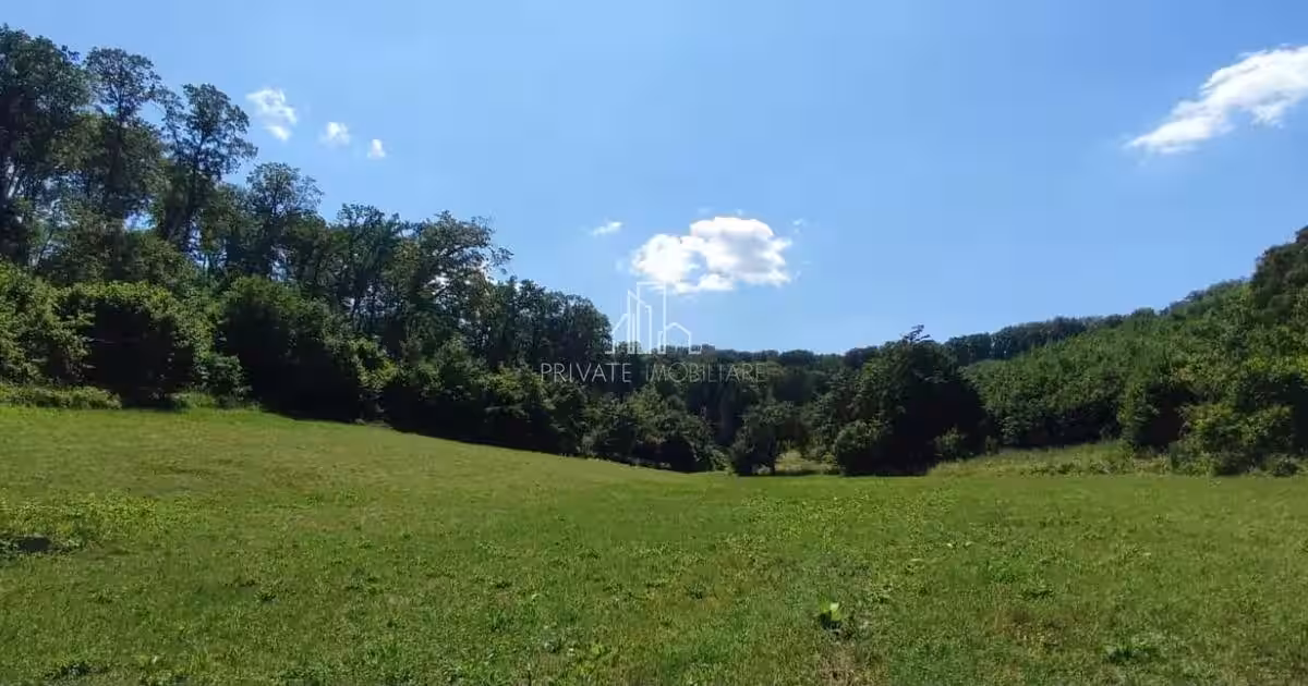 Teren de vanzare, 20.000Mp , Comuna Danes, drumul Crisului