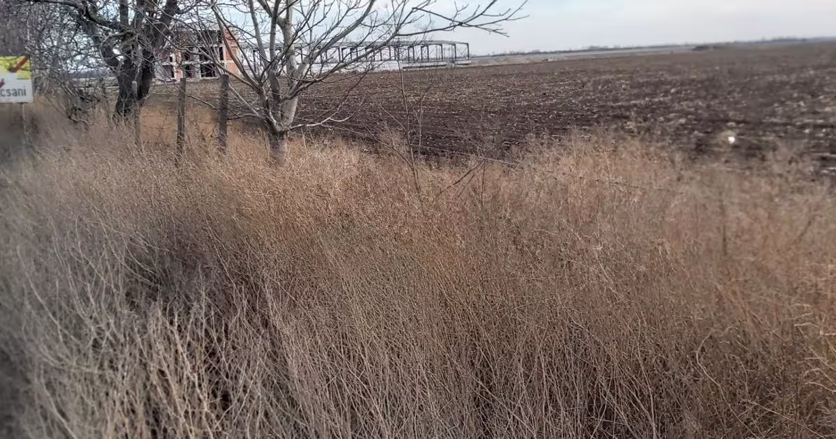Teren agricol intravilan de 45000 mp, în zona Brăilei, Focșani