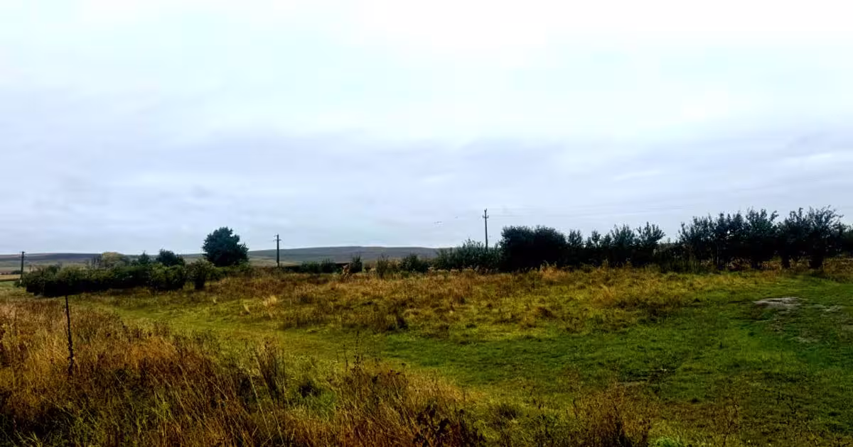 Teren agricol intravilan de 10000 mp, în Liteni (Moara)