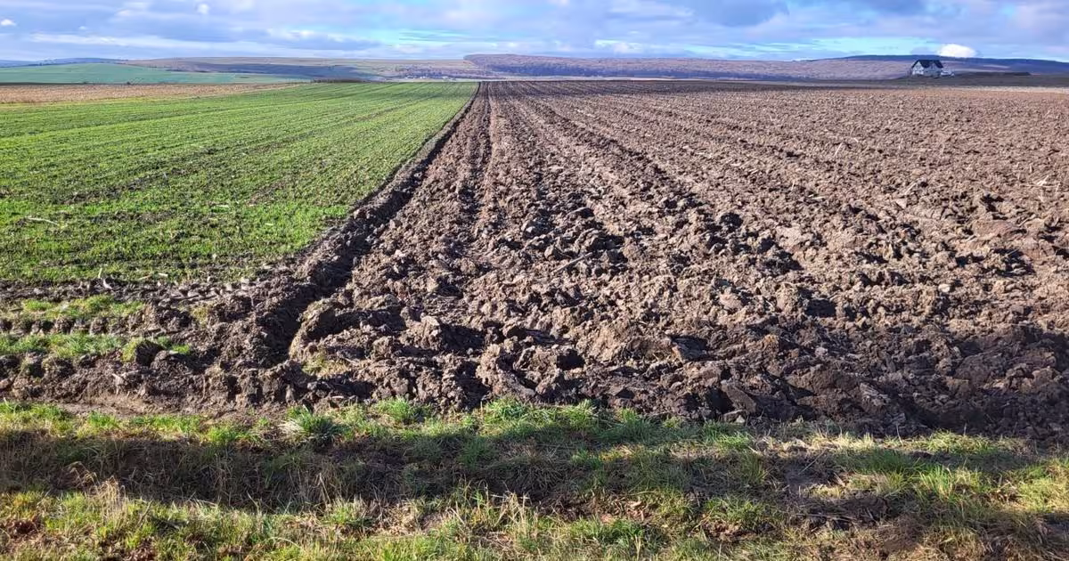 Teren agricol extravilan de 3678 mp, în Mitocu Dragomirnei