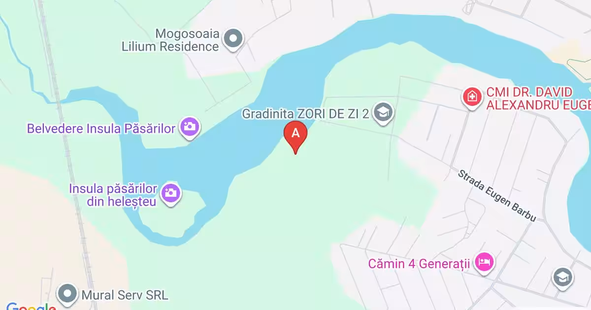 Lot teren Mogosoaia - Oportunitate excelentă de investiție