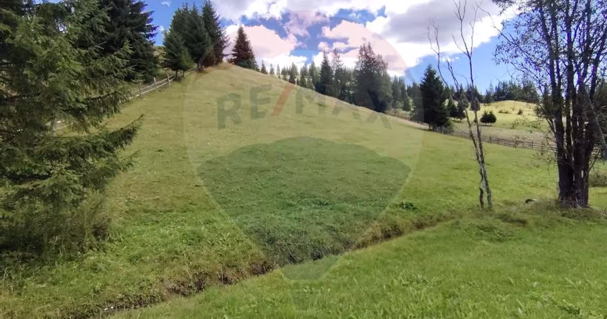 Teren agricol extravilan de 14318 mp, în Panaci