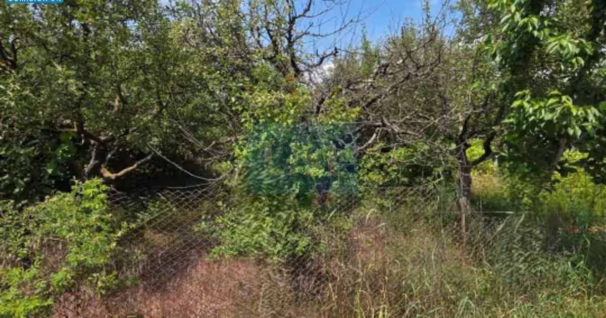 Teren agricol extravilan de 4100 mp, în Roman