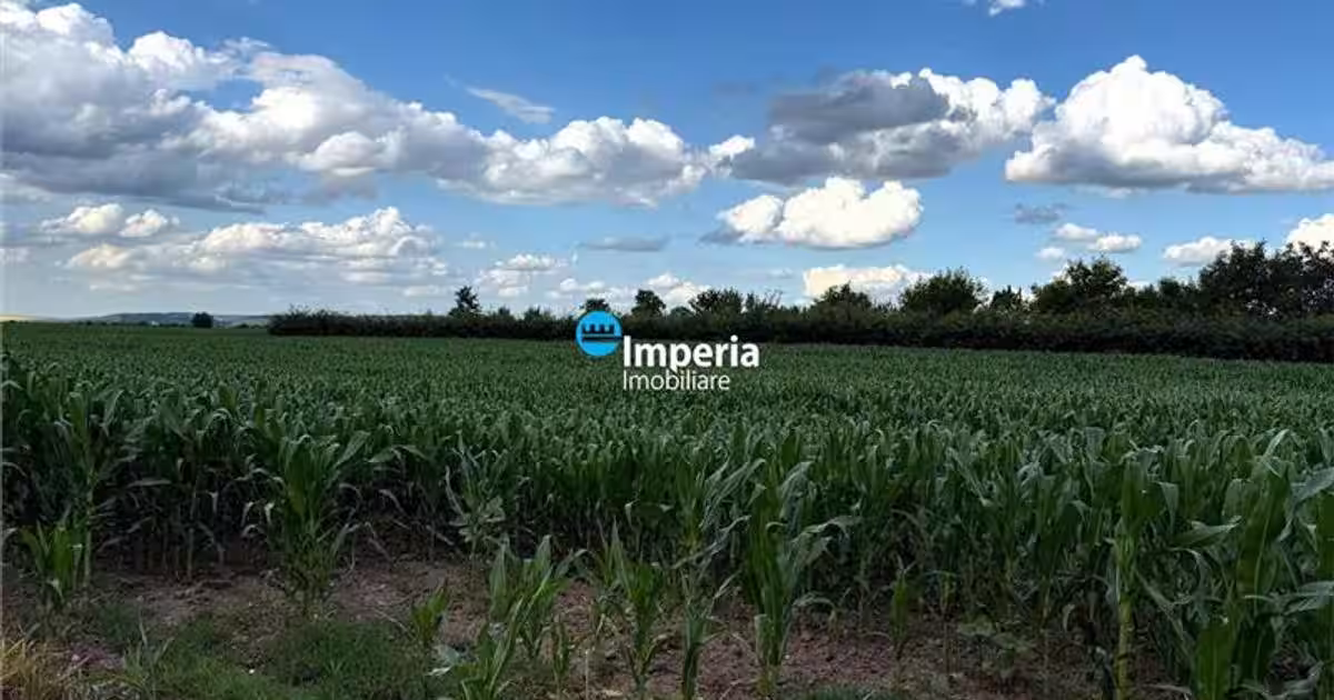 Teren agricol intravilan de 19800 mp, în Roman