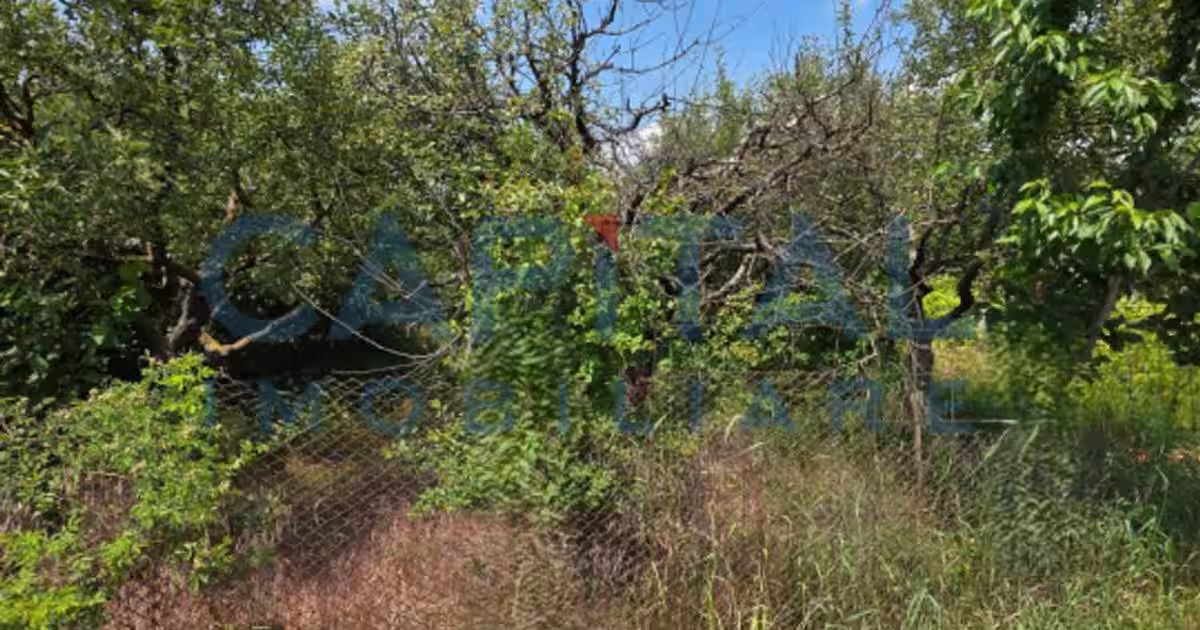 Teren agricol intravilan de 4100 mp, în Roman