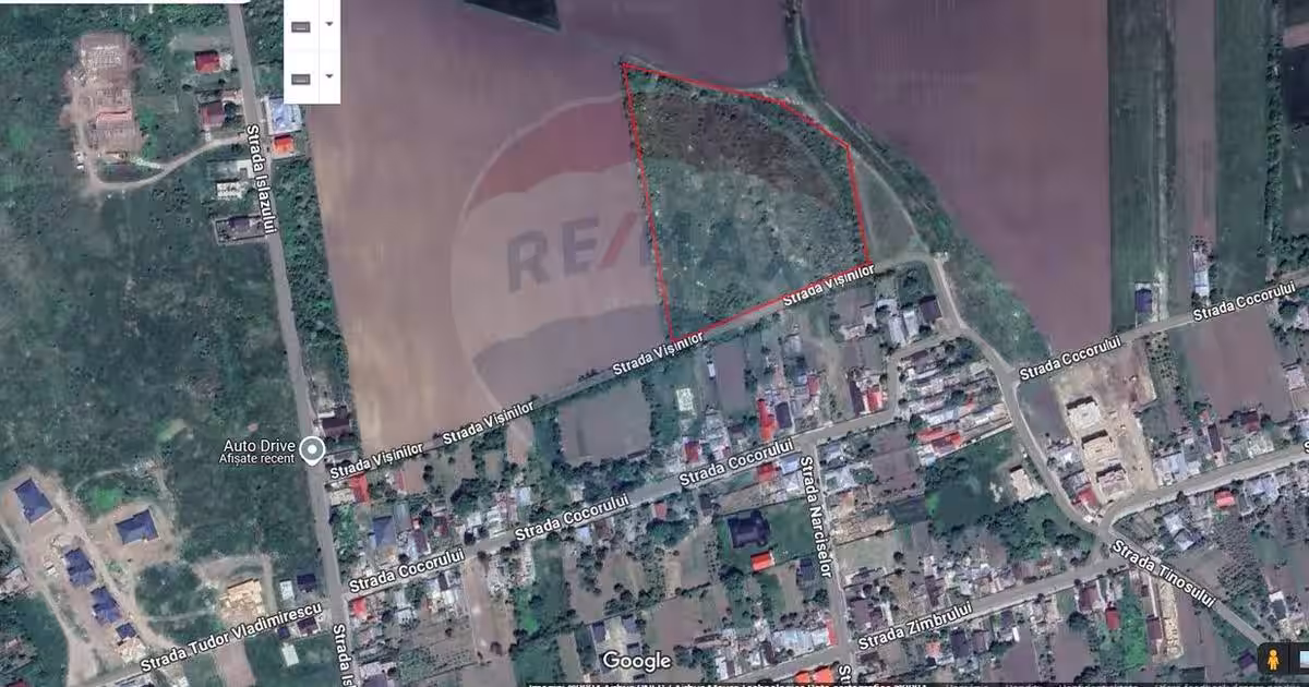 Teren Intravilan 16.700 Roman jud. Neamț / Strada Visinilor