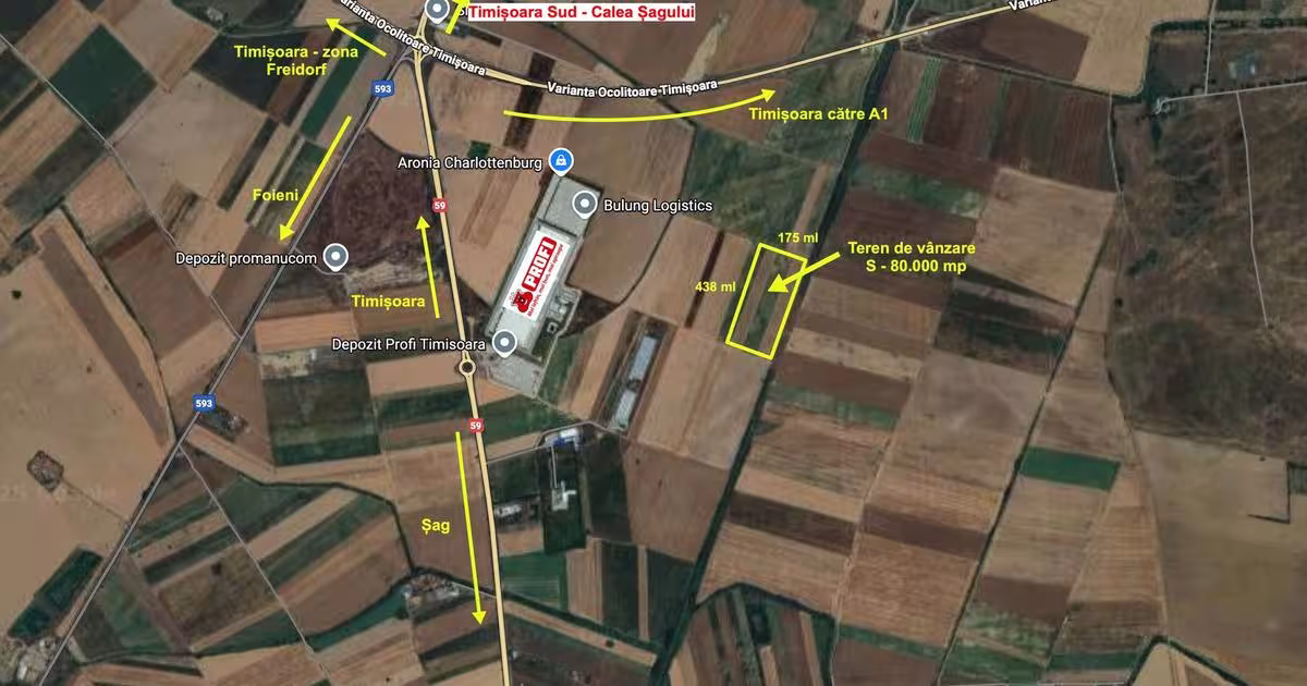 Teren agricol extravilan de 80000 mp, în Șag