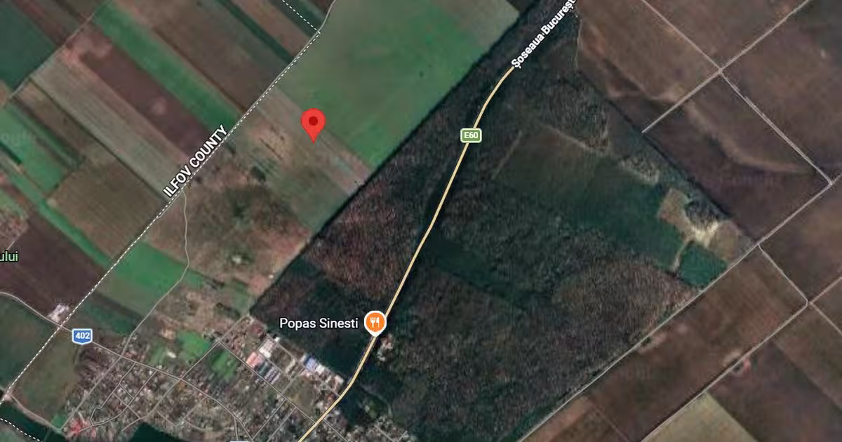 Teren agricol extravilan de 33125 mp, în Sinești