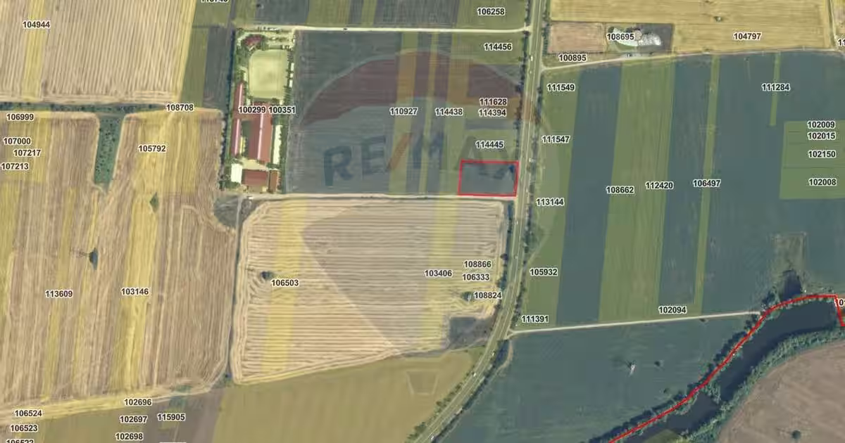 Teren agricol intravilan de 4000 mp, în Snagov