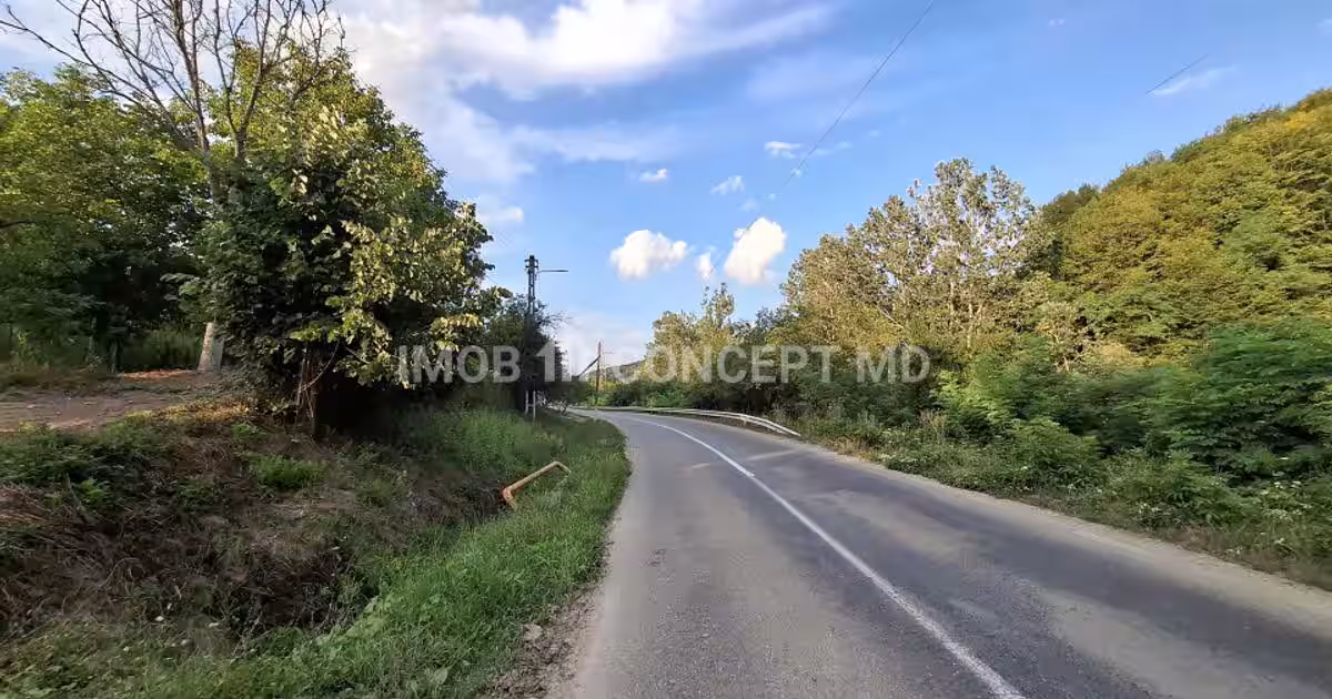 Teren agricol extravilan de 16189 mp, în Șoimari