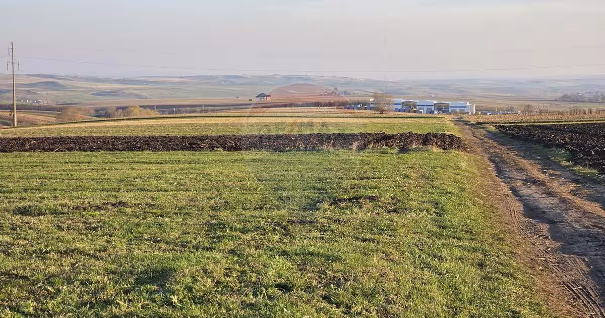 Teren agricol extravilan de 10200 mp, în Stroiești