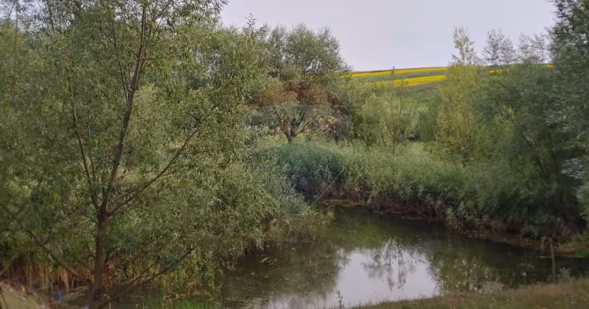 Teren agricol intravilan de 300000 mp, în Stroiești