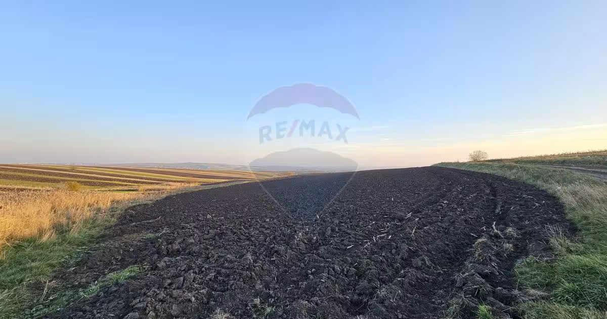 Teren agricol extravilan de 30077 mp, în Stroiești