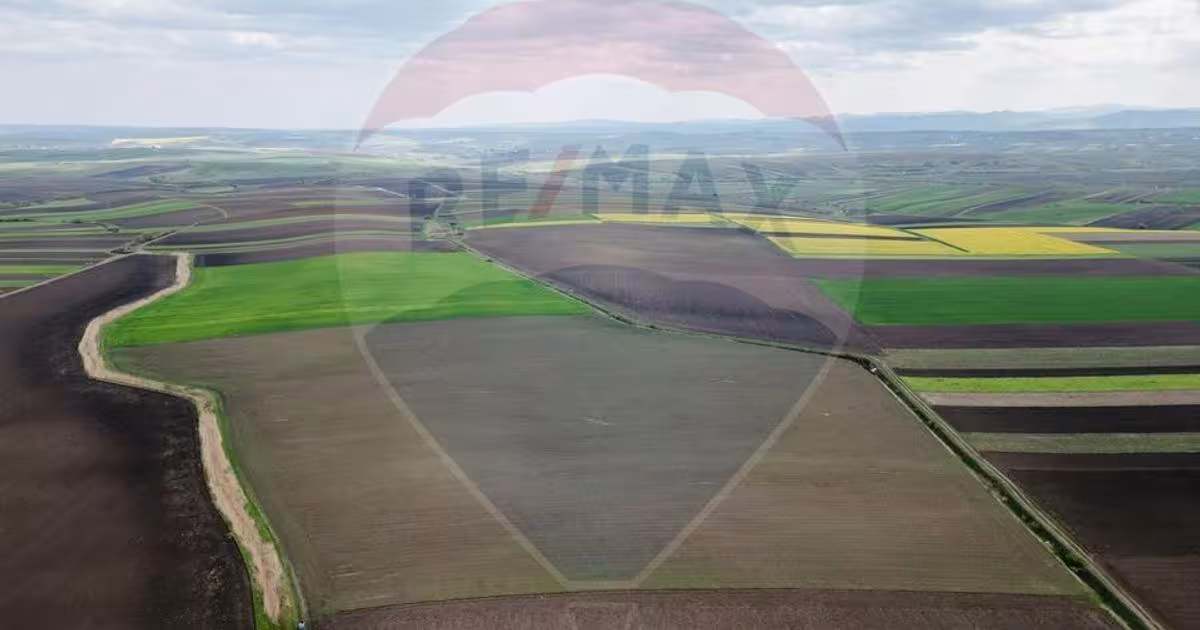 Teren agricol extravilan de 86000 mp, în zona Nord-Est, Suceava