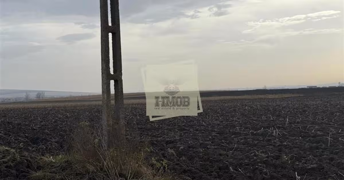 Teren agricol extravilan de 20300 mp, în Șura Mică