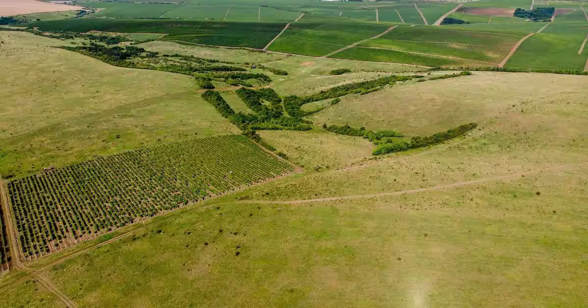 Teren agricol extravilan de 20097500 mp, în zona Exterior Sud, Târgu Mureș